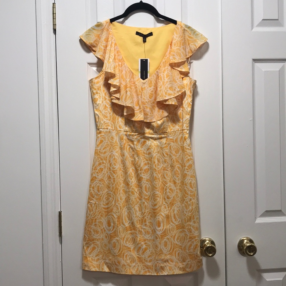 Cynthia Steffe Summer V Neck Dress NEW!